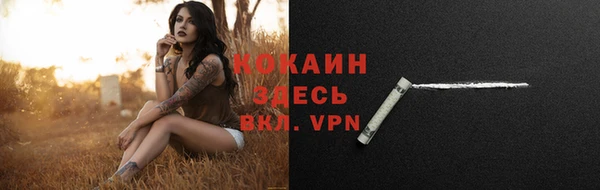 mdpv Белокуриха