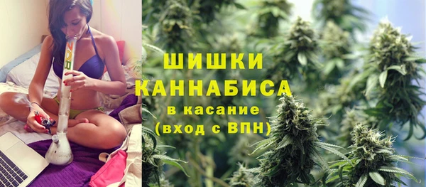 mdpv Белокуриха