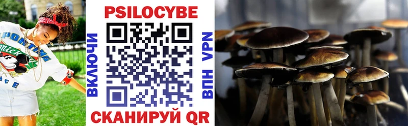 Псилоцибиновые грибы прущие грибы  как найти закладки  Бородино 
