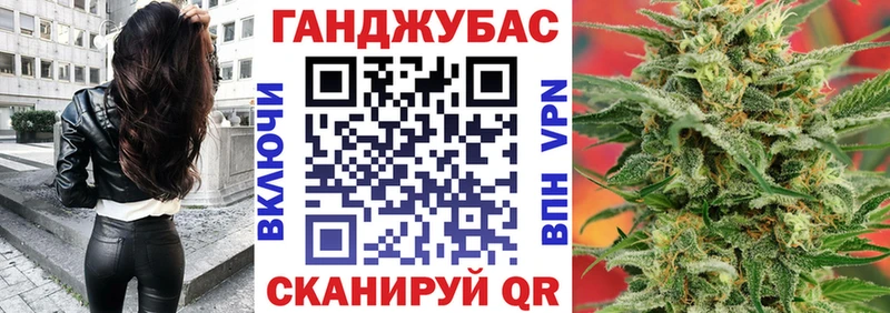 сколько стоит  Бородино  Канабис тримм 